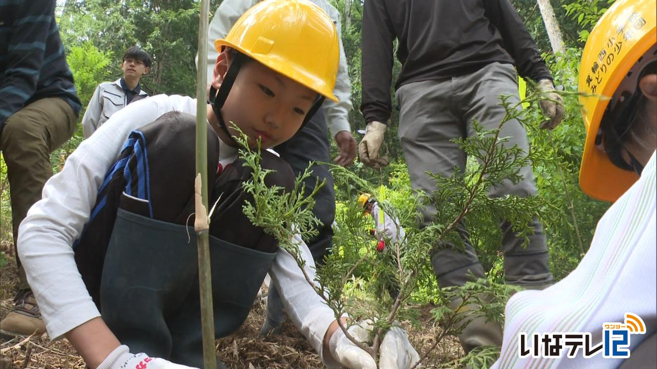箕輪西小４年　ヒノキの苗を植樹