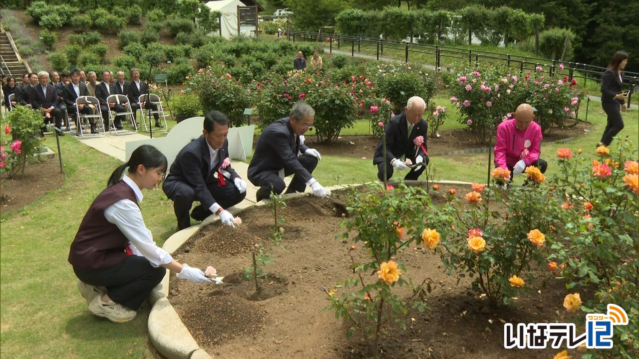 しんわの丘　バラ祭り始まる