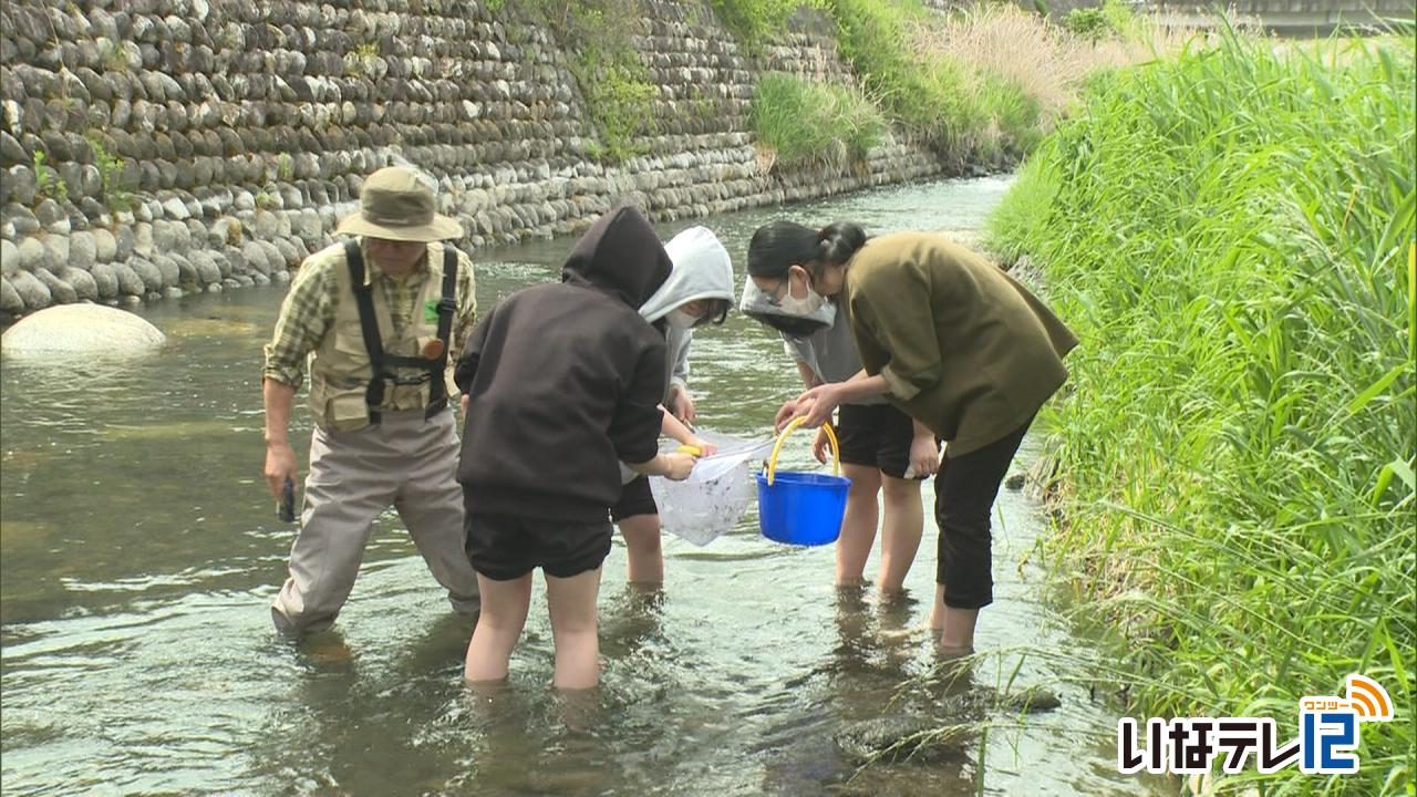 専門学生　水生昆虫調査