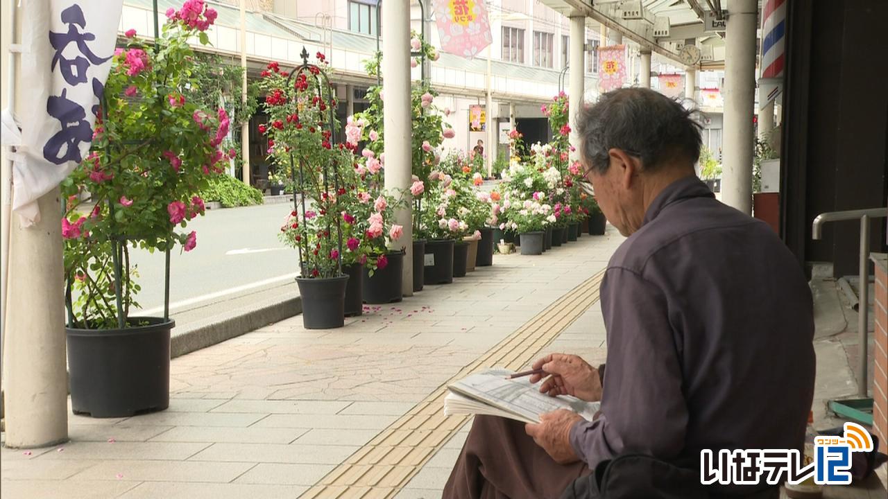 伊那市中心商店街でバラが見頃