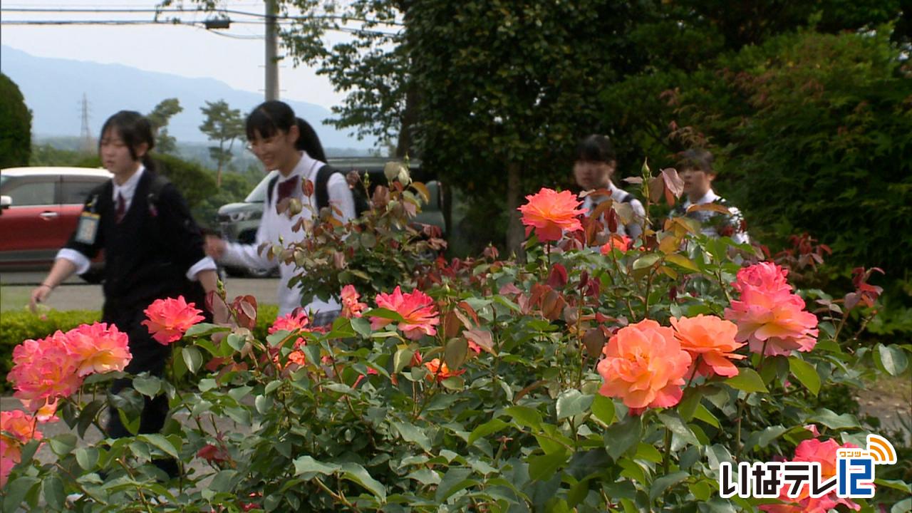 伊那西高校で衣替え