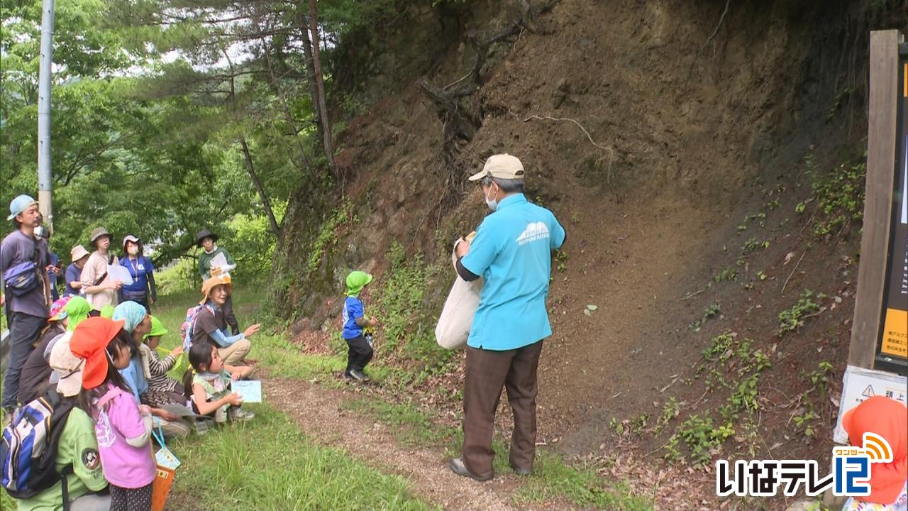 高遠第２・第３保育園の園児と保護者が板山露頭見学
