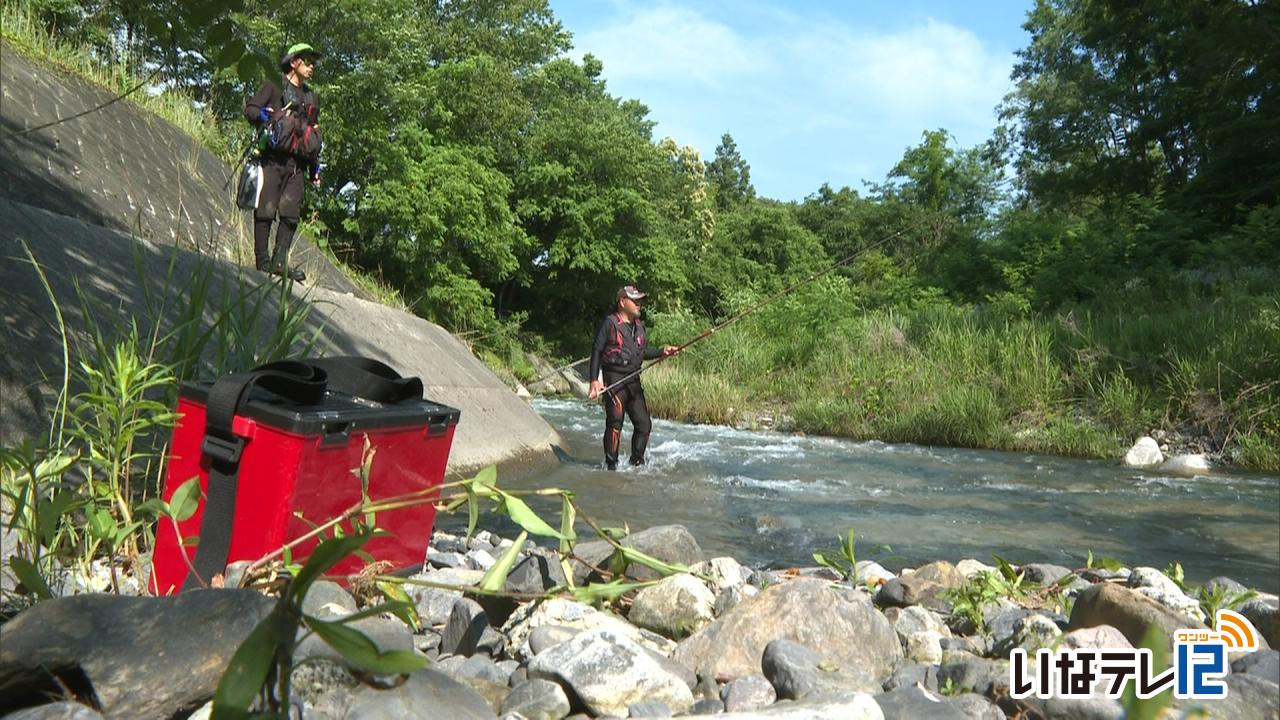 天竜川水系で鮎釣り解禁