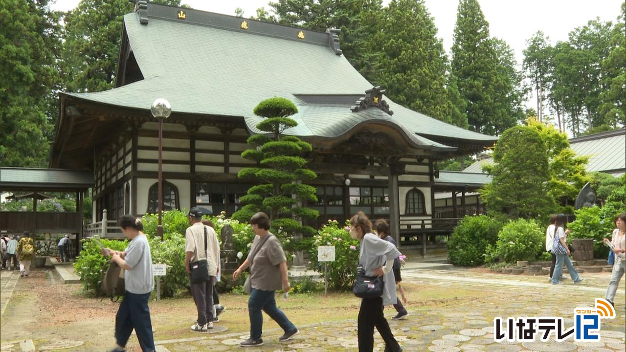 「あじさい寺」深妙寺 多くの人でにぎわう