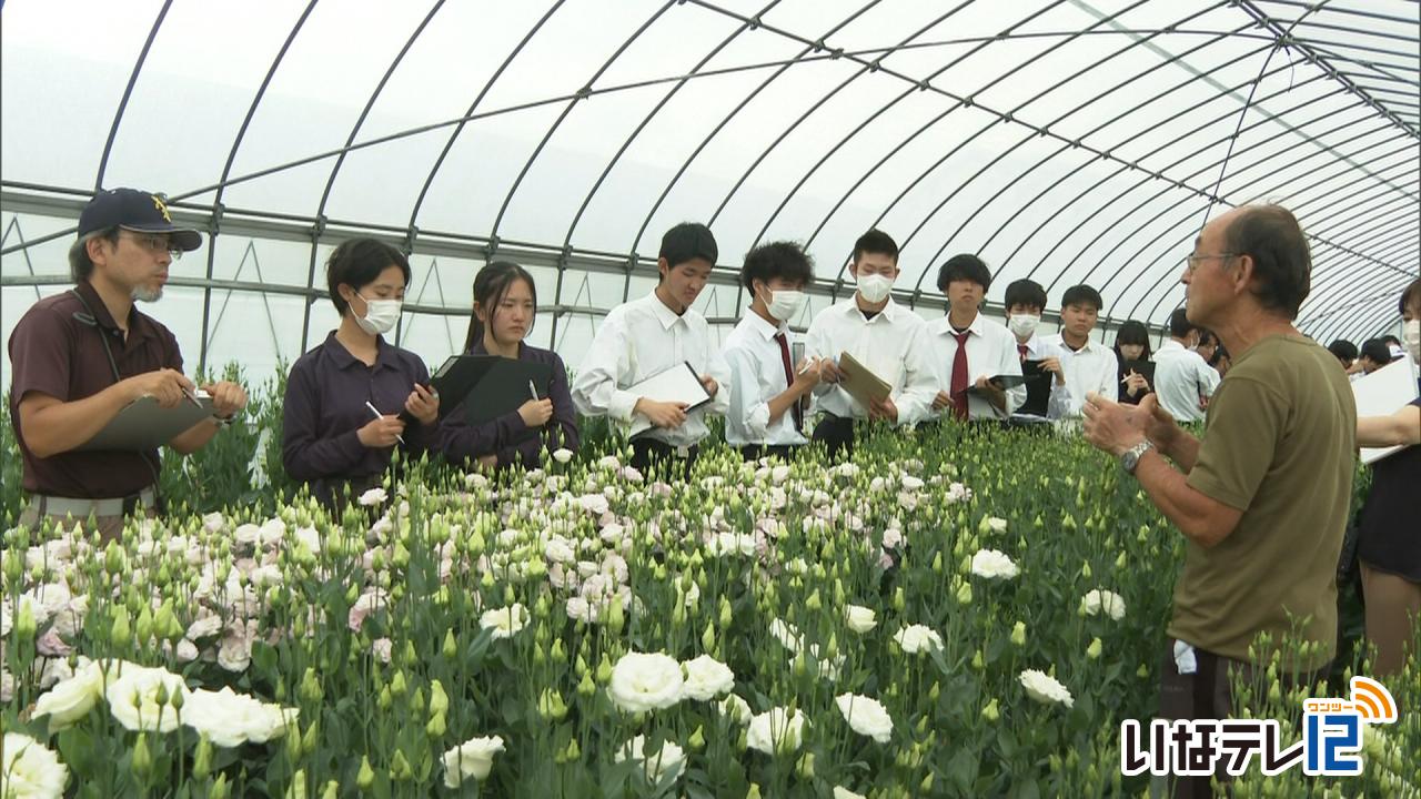 上農生 トルコギキョウの生産学ぶ