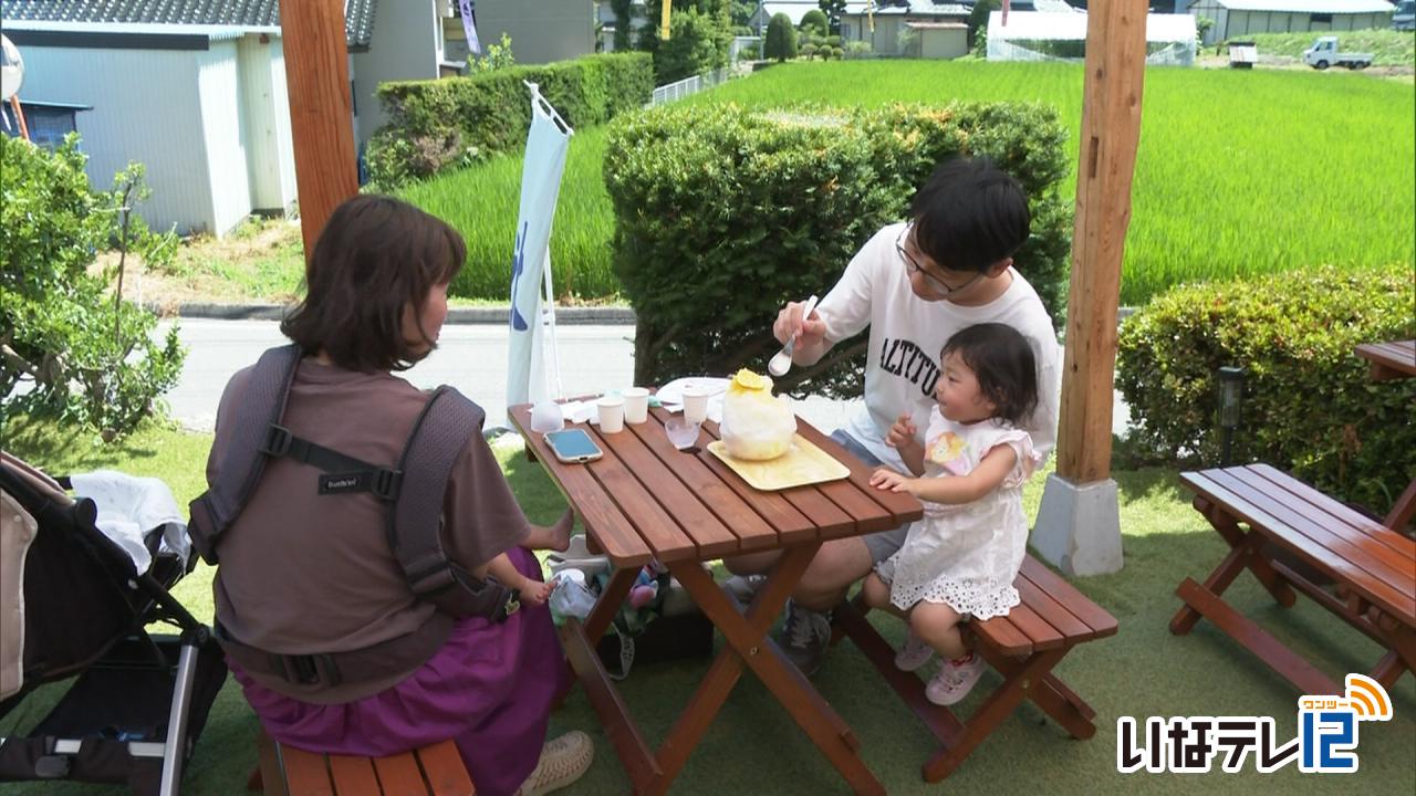 最高気温３６．２度