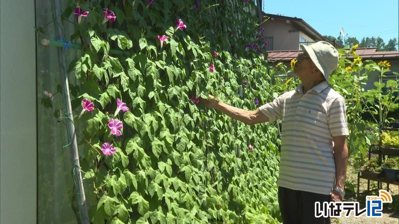 グリーンカーテンで夏を涼しく