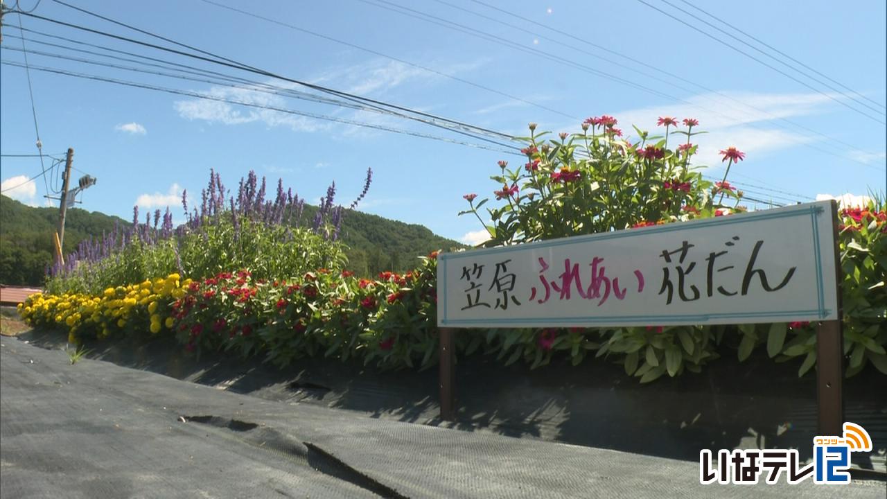笠原区社協の花壇が見ごろ