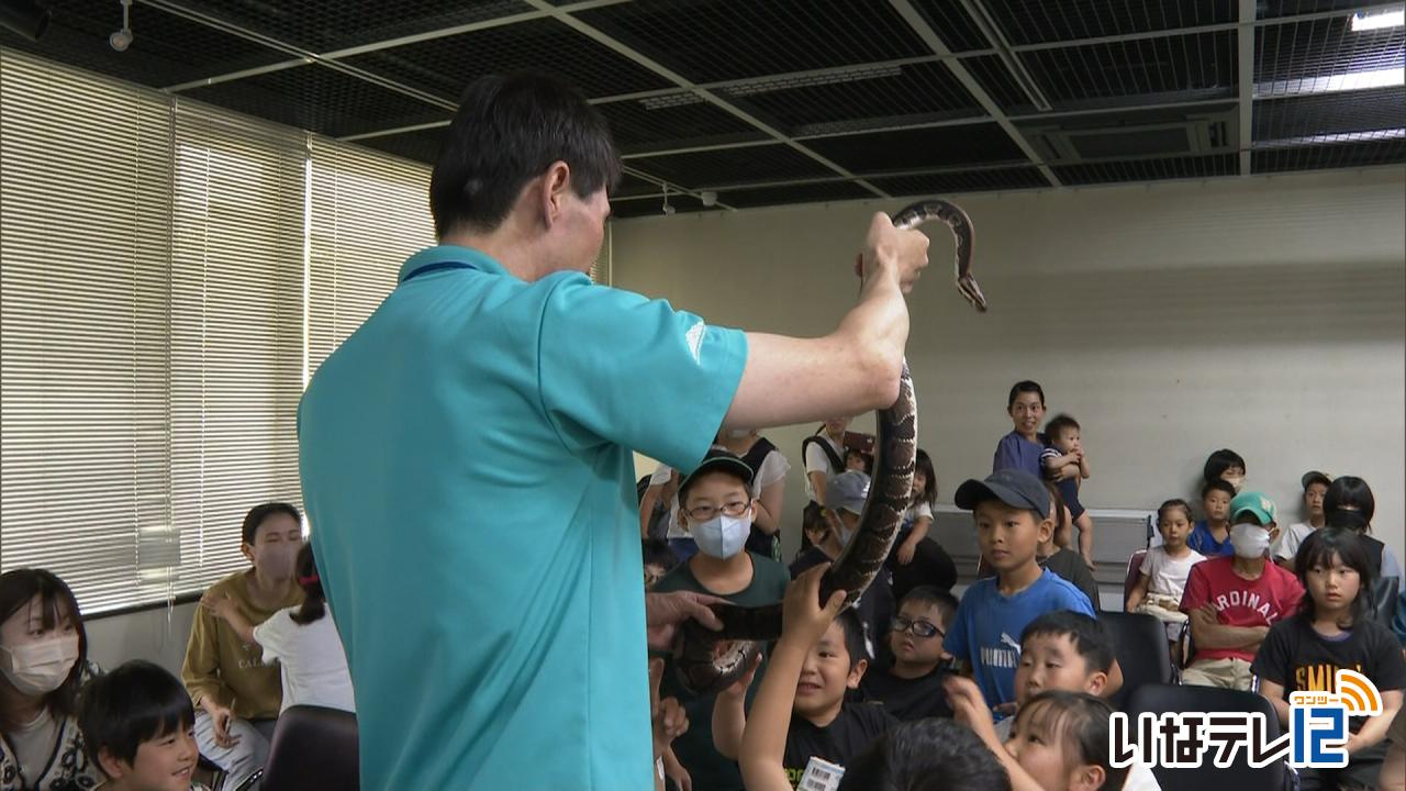 親子が珍しい生き物に触れる