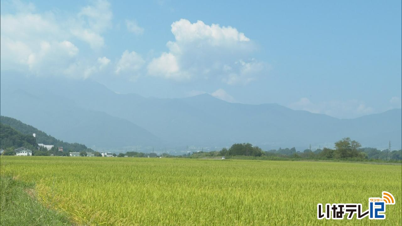 伊那地域　６日ぶりの猛暑日３５．３度