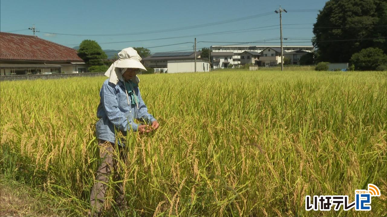 暑さ続く 秋の味覚に影響