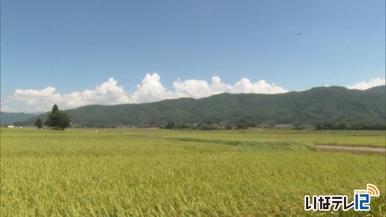 伊那地域　２日連続の猛暑日