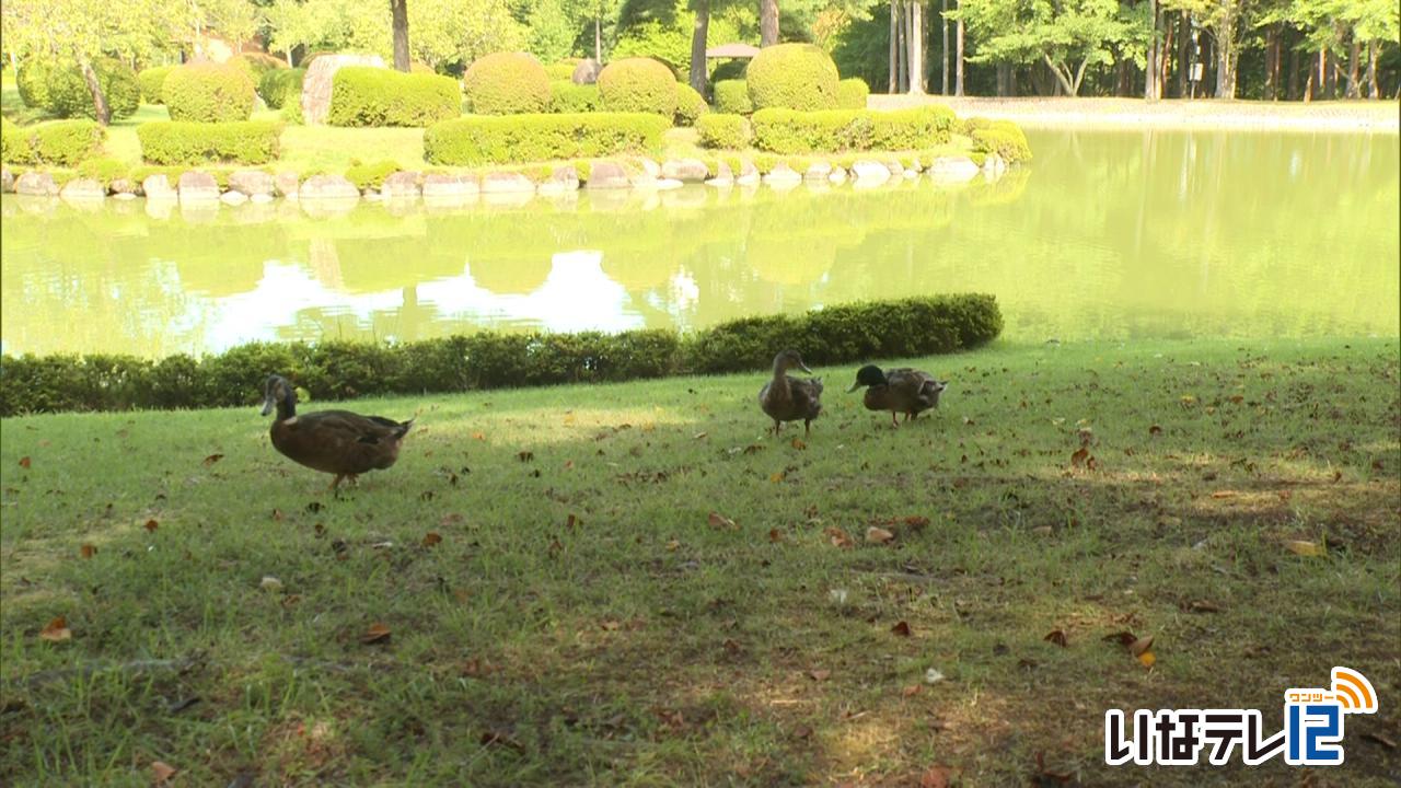 最高気温３５.２度　９月観測史上２番目の高さ