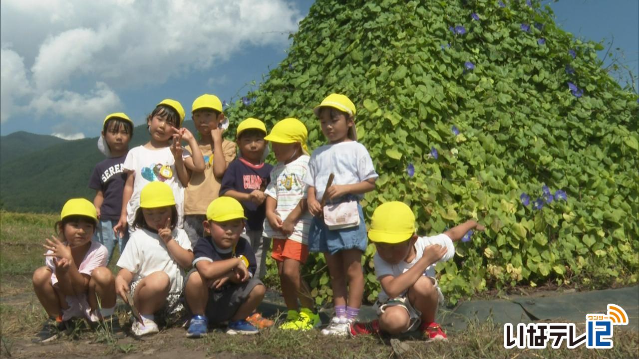 園児がヘブンリーブルーを楽しむ