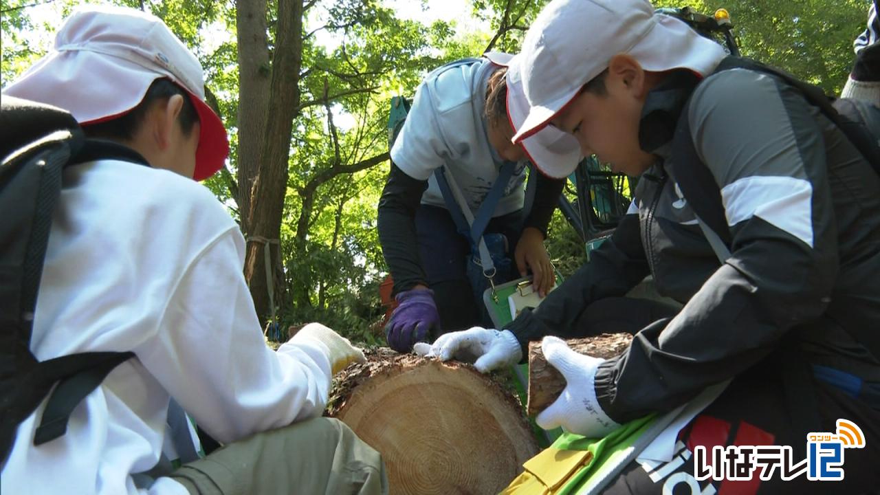 家づくりの学習で木材見学
