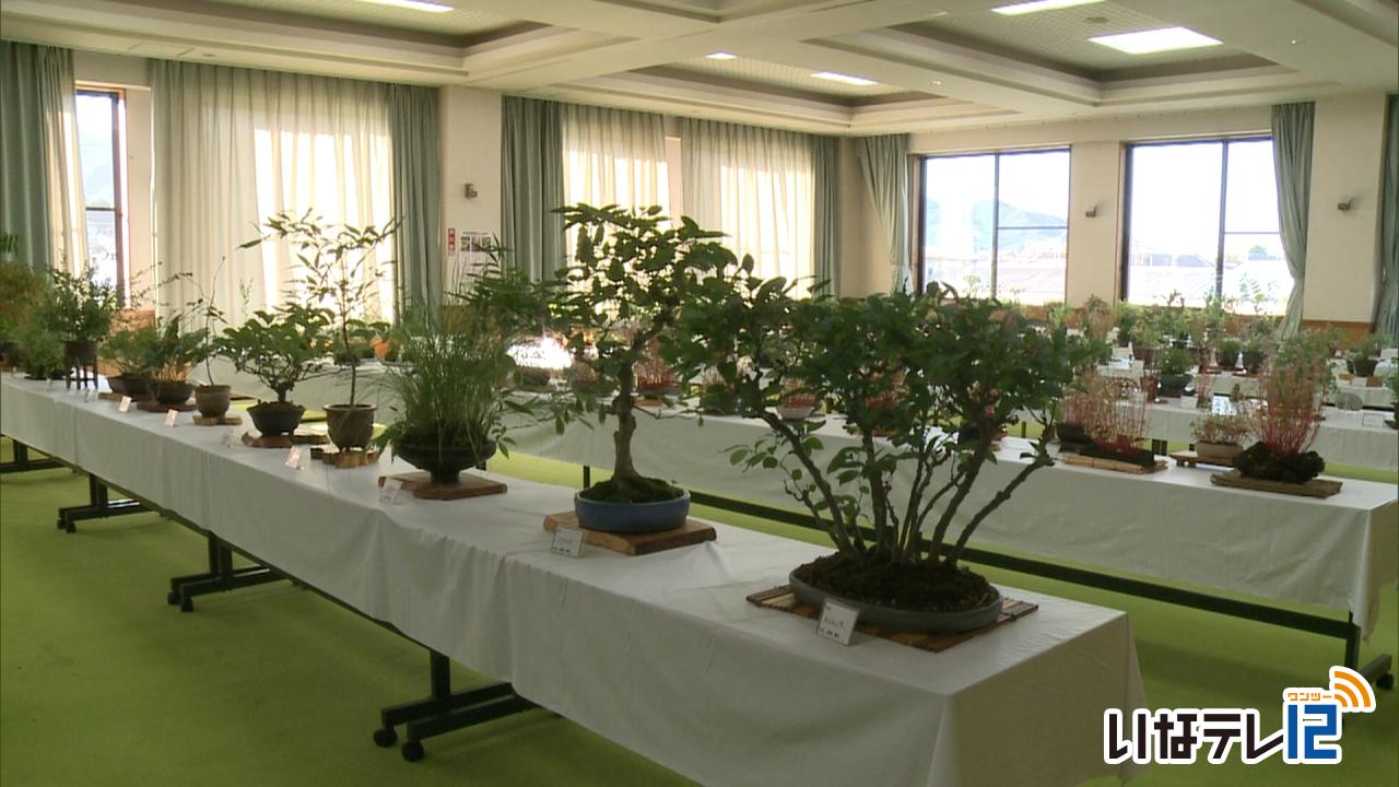 信州みのわ山野草クラブ　秋の山野草展示会