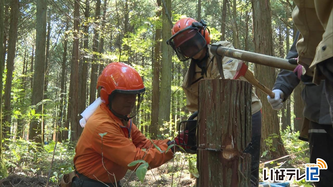 上農　間伐実習