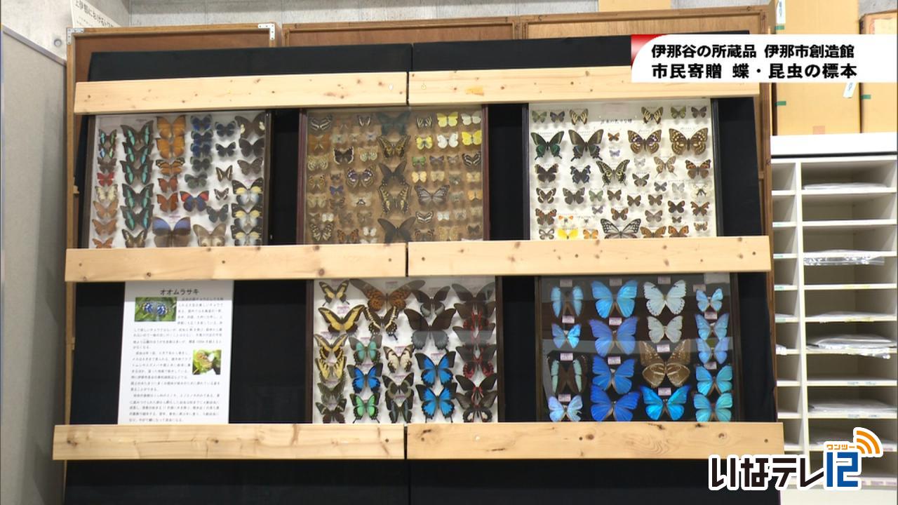 伊那谷の所蔵品「蝶・昆虫の標本」
