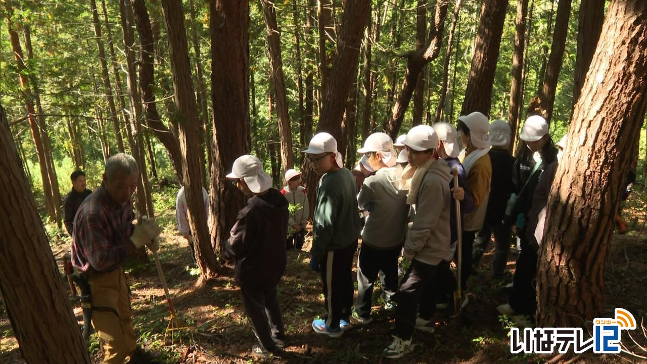 富県小６年生 松茸学ぶ