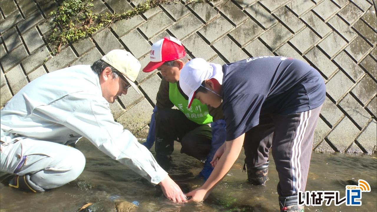 くらし・話題｜南箕輪小４年生　あまごの卵放流