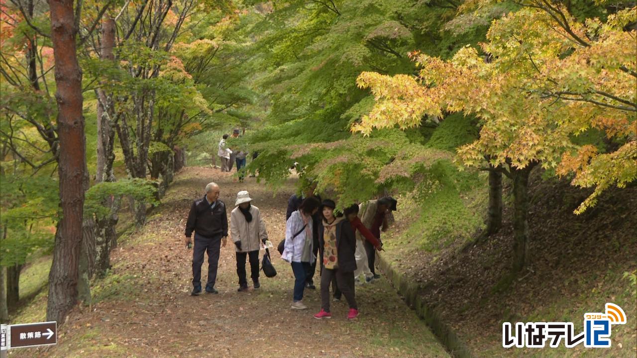 もみじ湖周辺　色づき始め