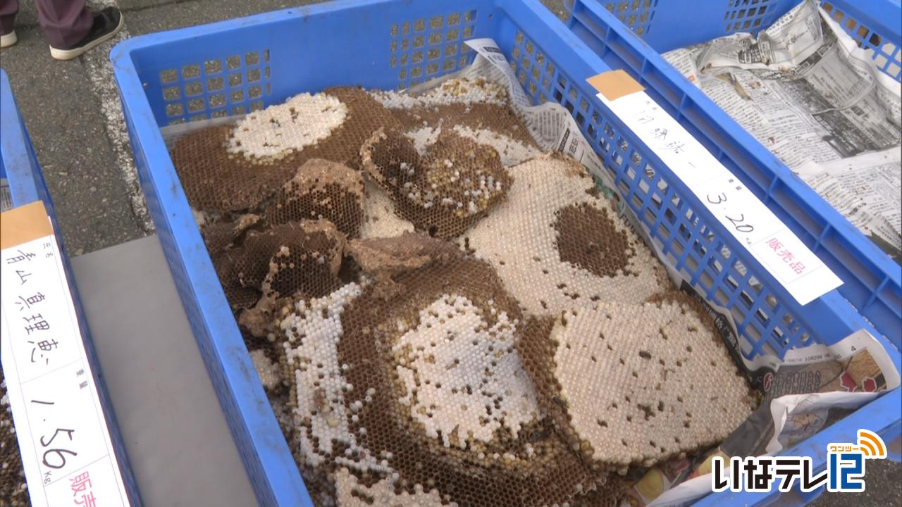 くらし・話題｜地蜂の巣　重さ競うコンテスト