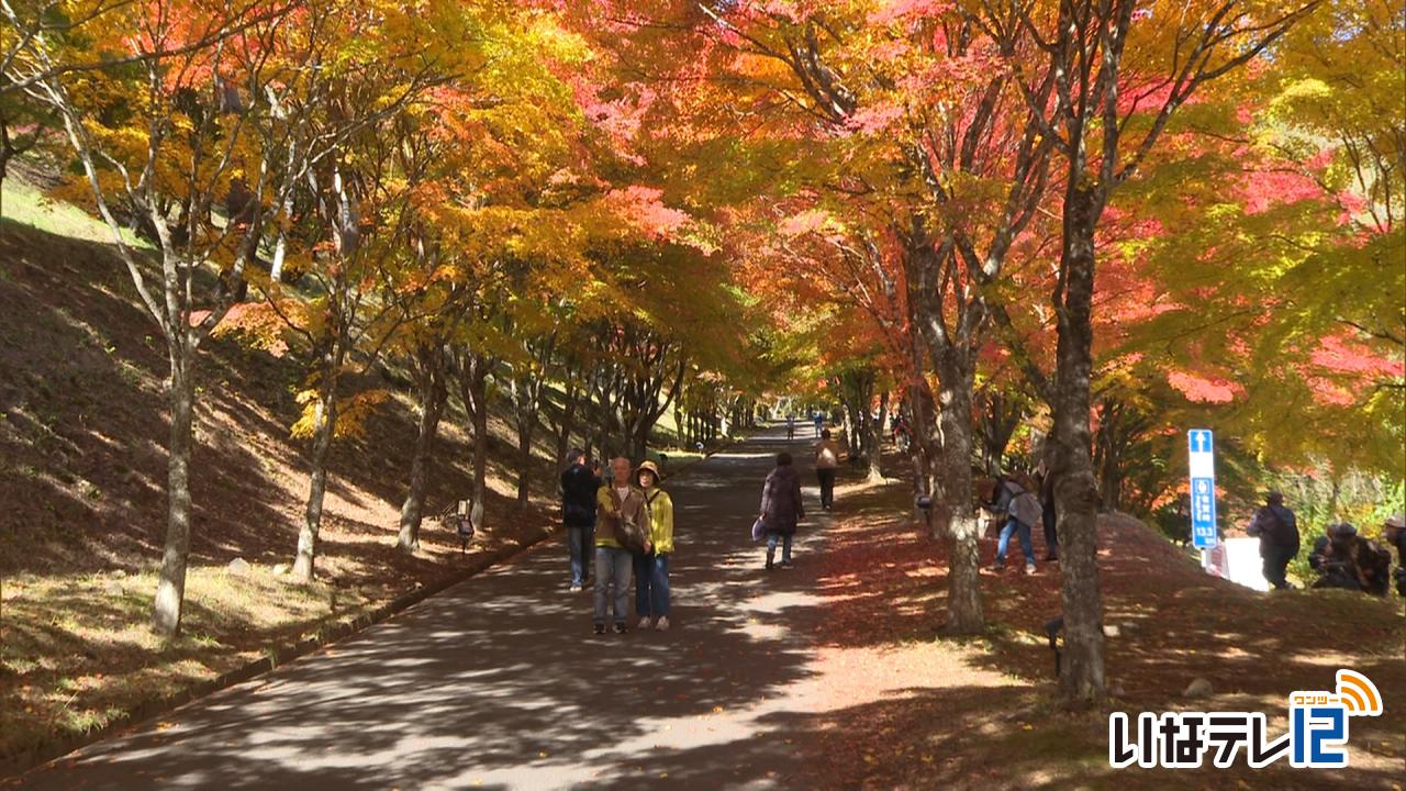 もみじ湖　見ごろに