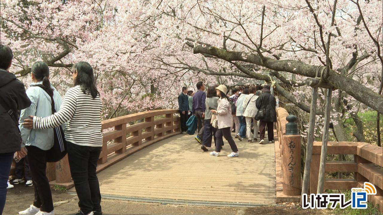 満開時の土日の入園料値上げの方針