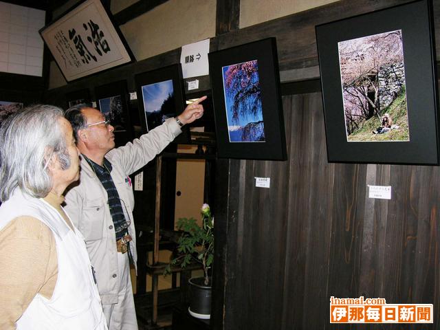 旧井澤家に花の写真で春を演出　「青葉の会」が展示会