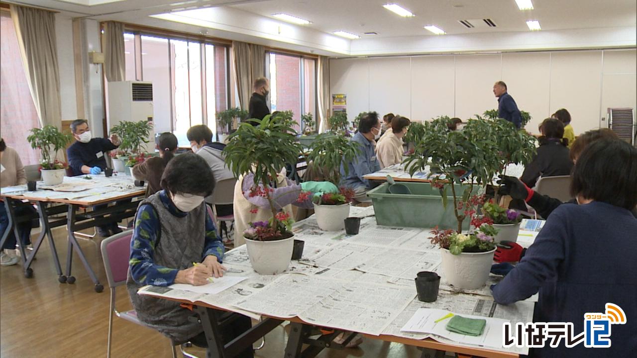 正月に向けて　寄せ植え講座