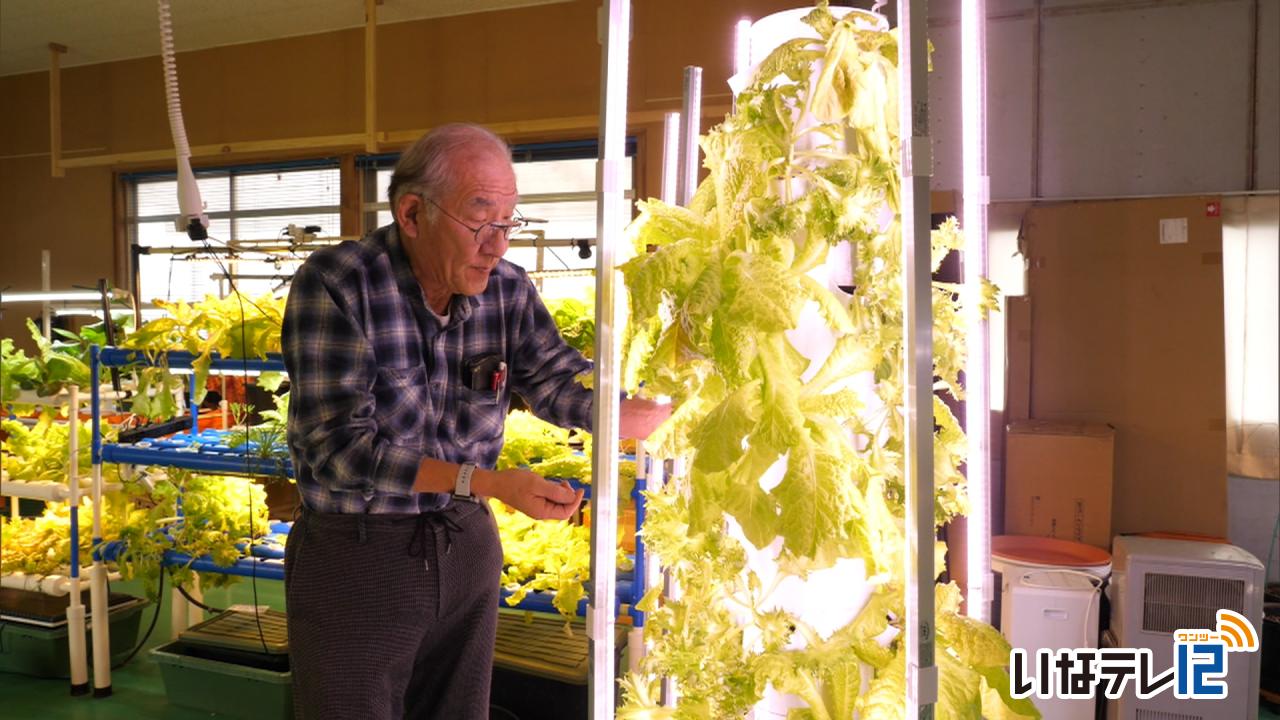 笑栄システム　水耕栽培を研究