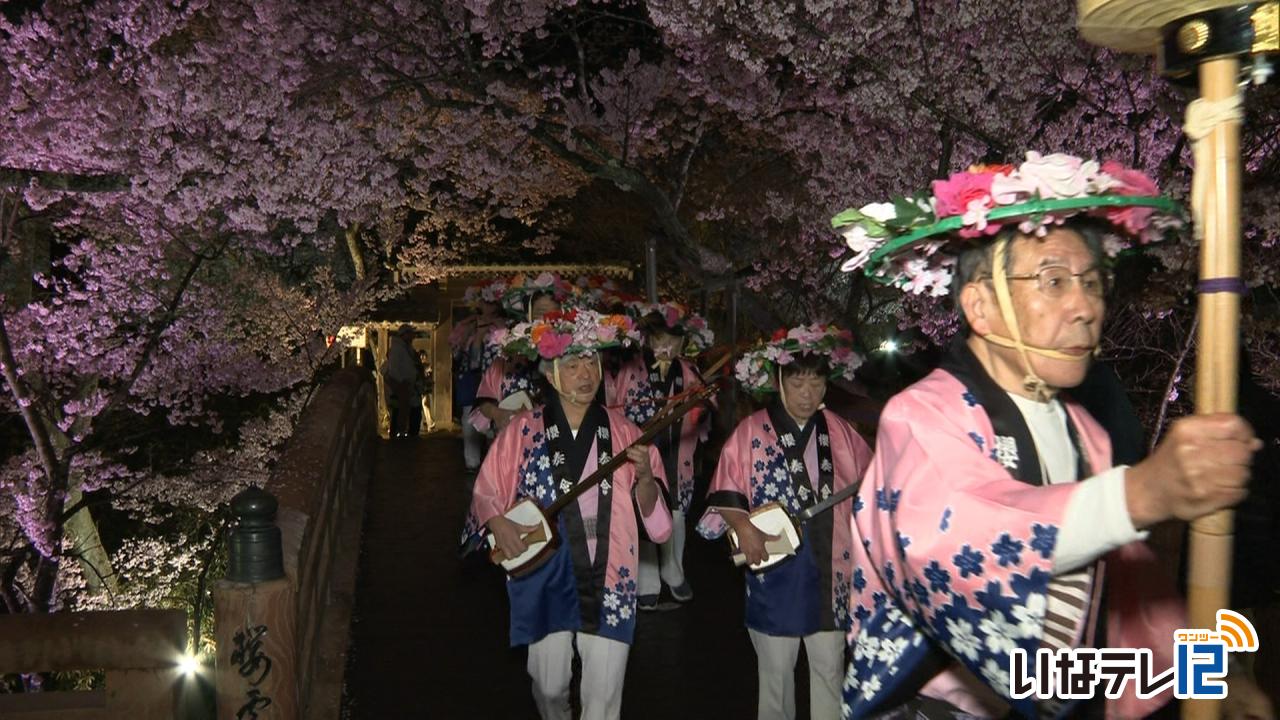 満開の高遠城址　高遠ばやし巡行
