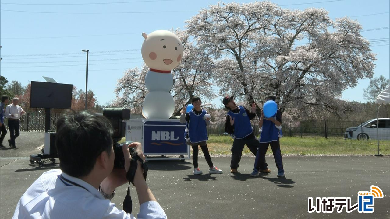 交流イベントさくらを愛でる会