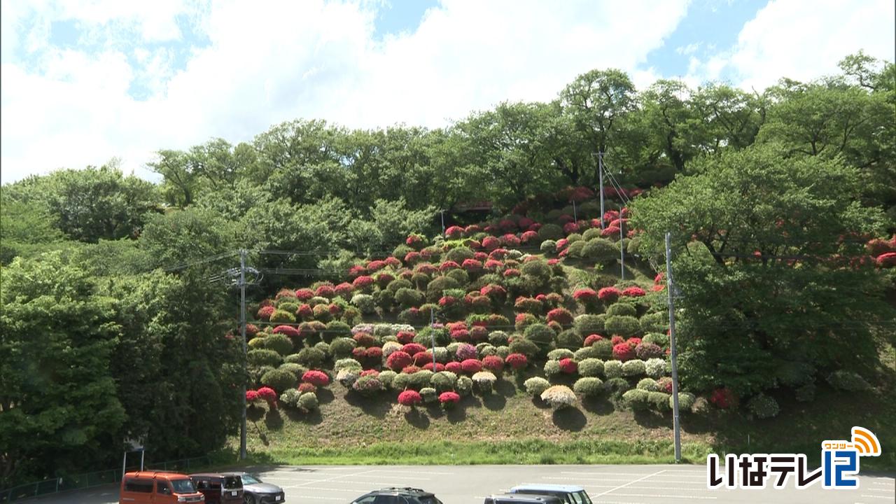 最高気温２７．５度　夏日に