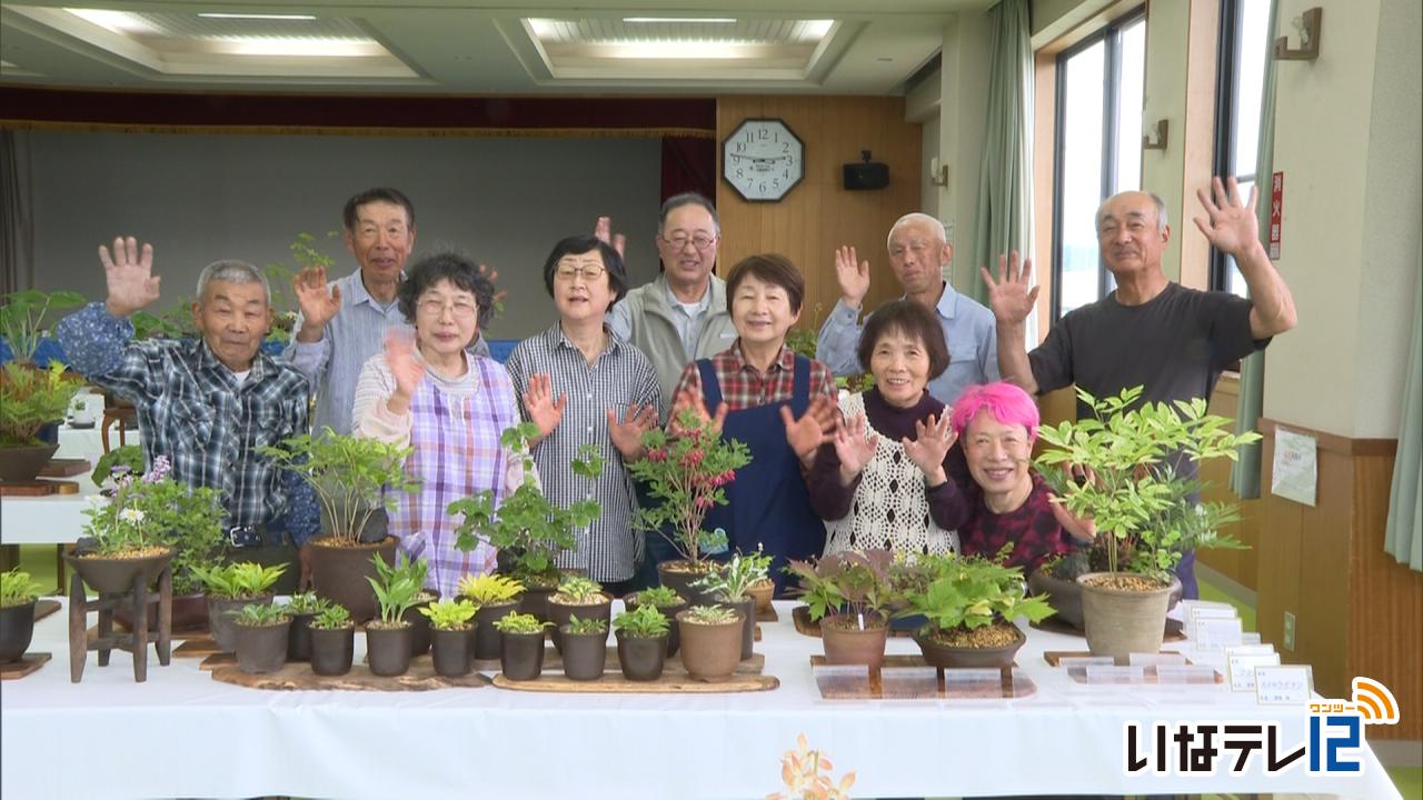 春の山野草展９日１０日に