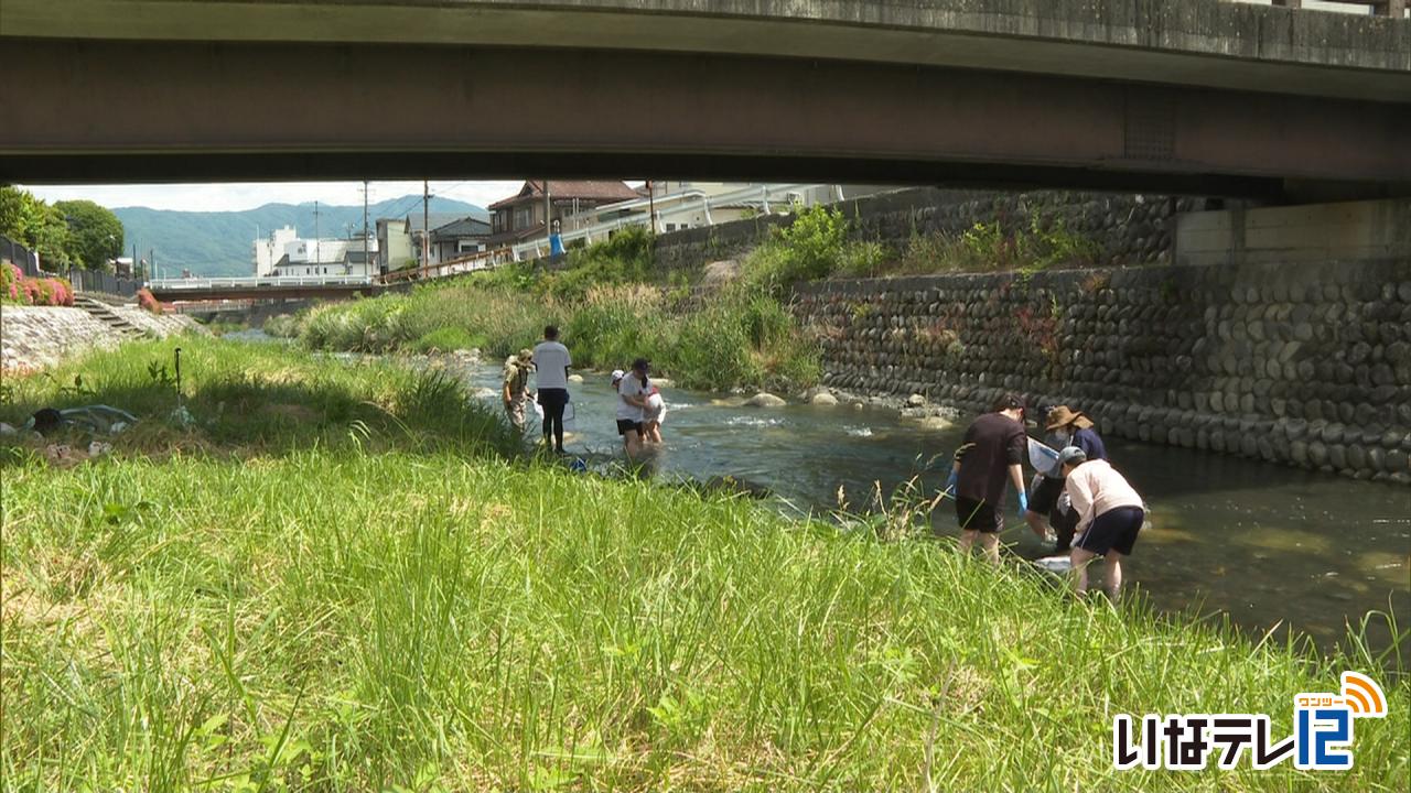 公衆衛生専門学生が水生昆虫調査