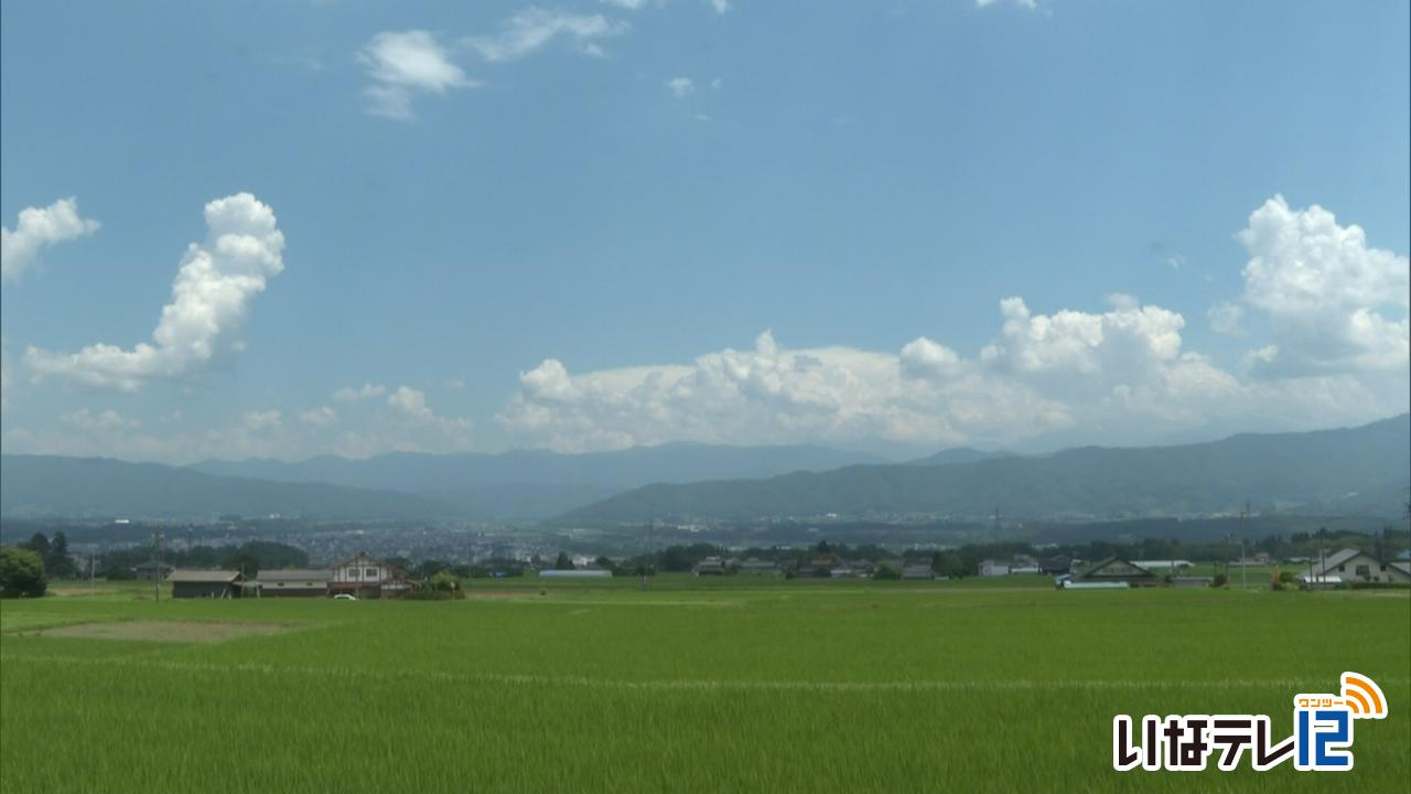 最高気温３６度 ２日連続猛暑日