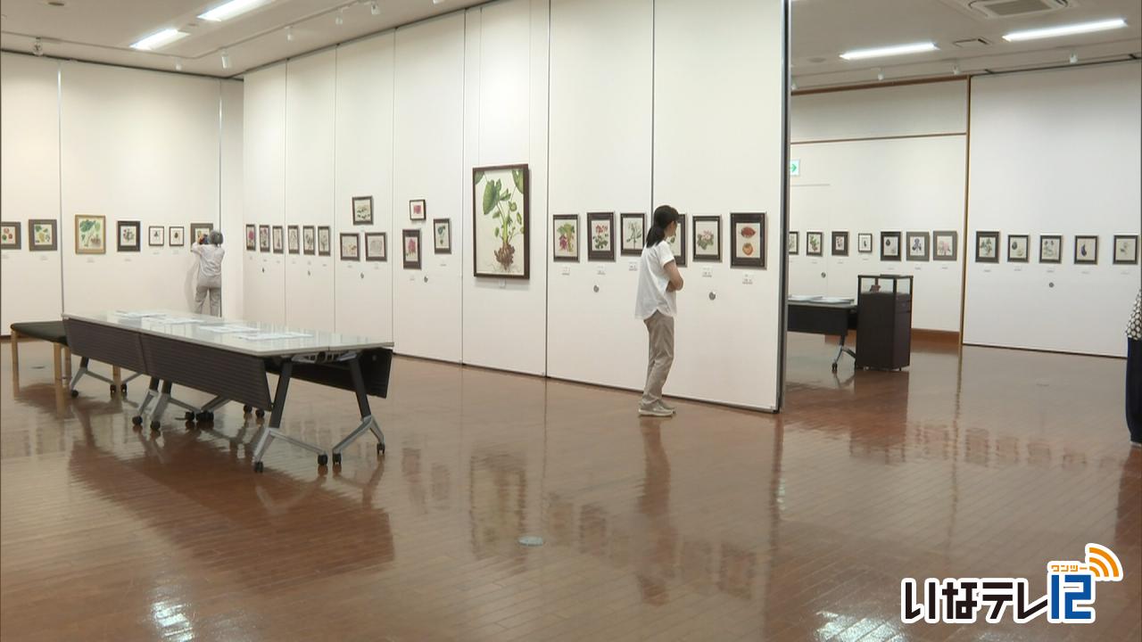野村陽子植物細密画教室　生徒の作品発表会