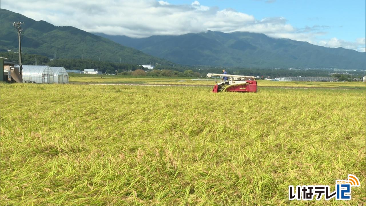 雨の日続く 稲刈りにも影響
