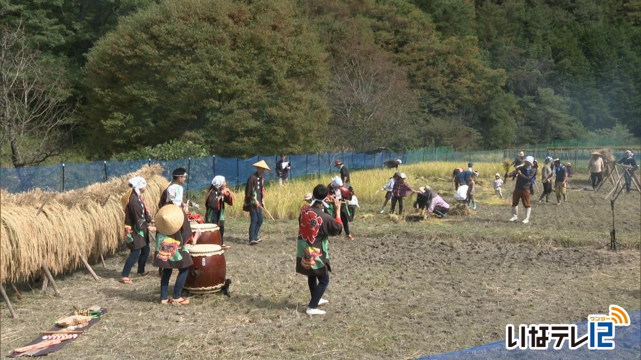 みんなで祝う 稲刈り祭り