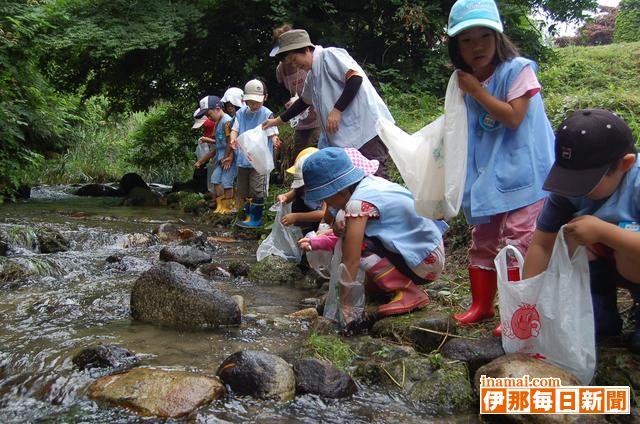 東部保育園園児がアマゴを放流